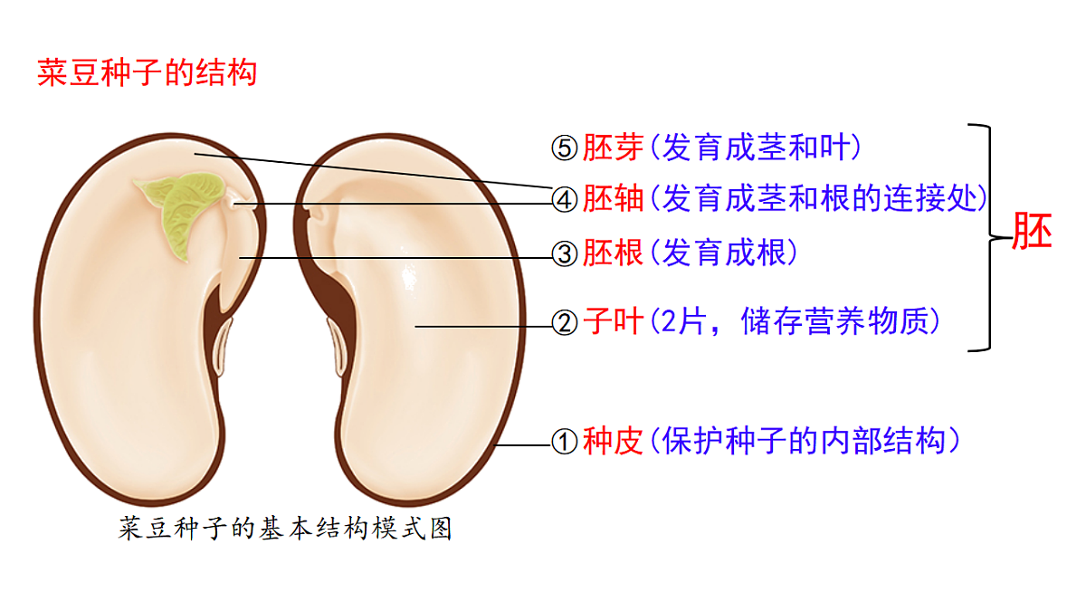 17665756第8页