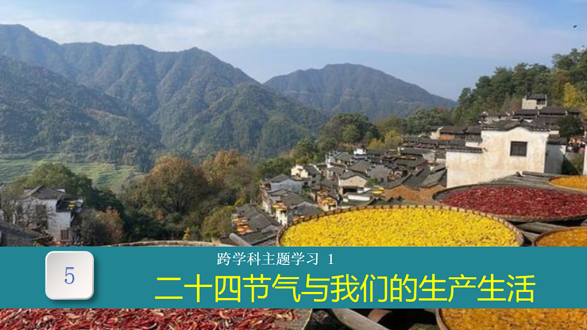 17665824第1页