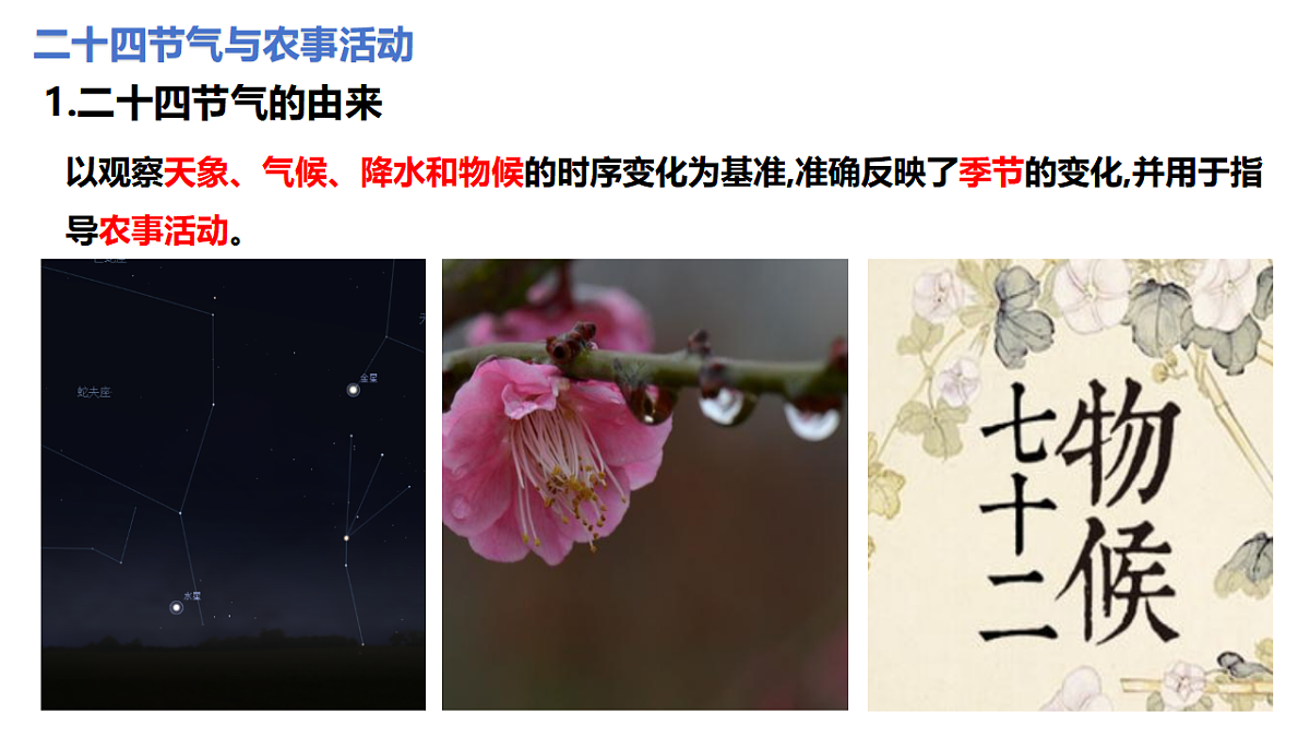17665824第4页