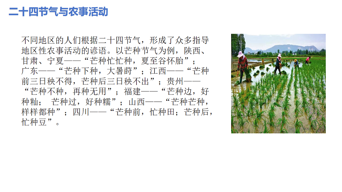 17665824第8页