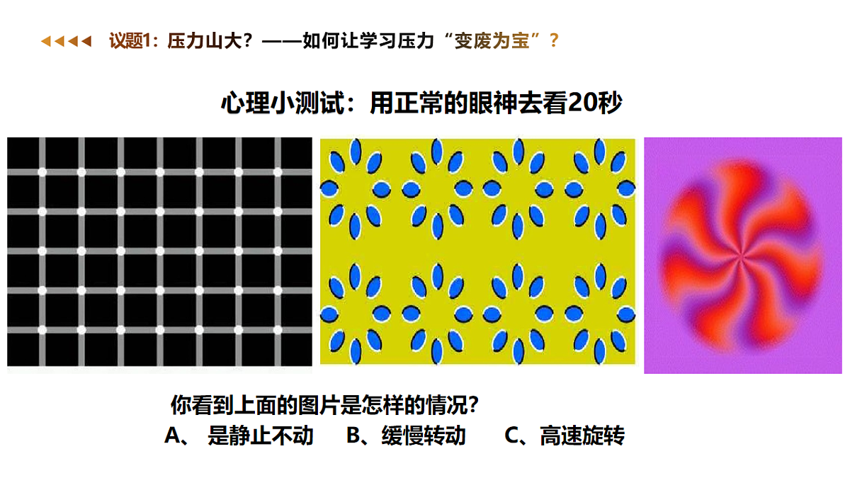 17665903第8页