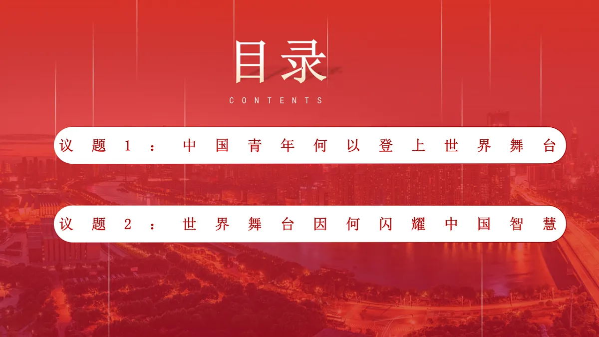 17665905第5页