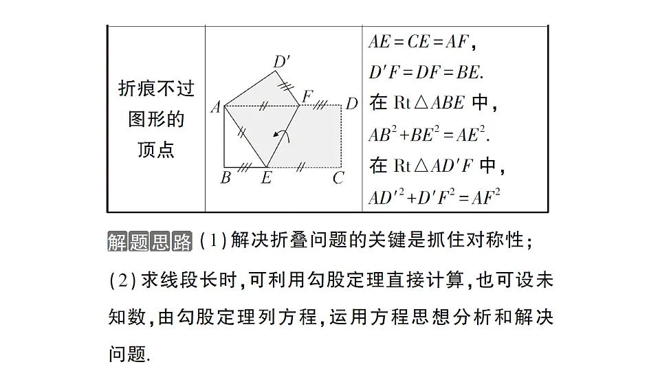17667131第3页