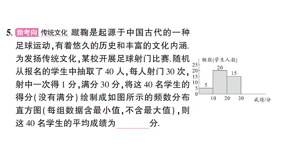 17667255第8页
