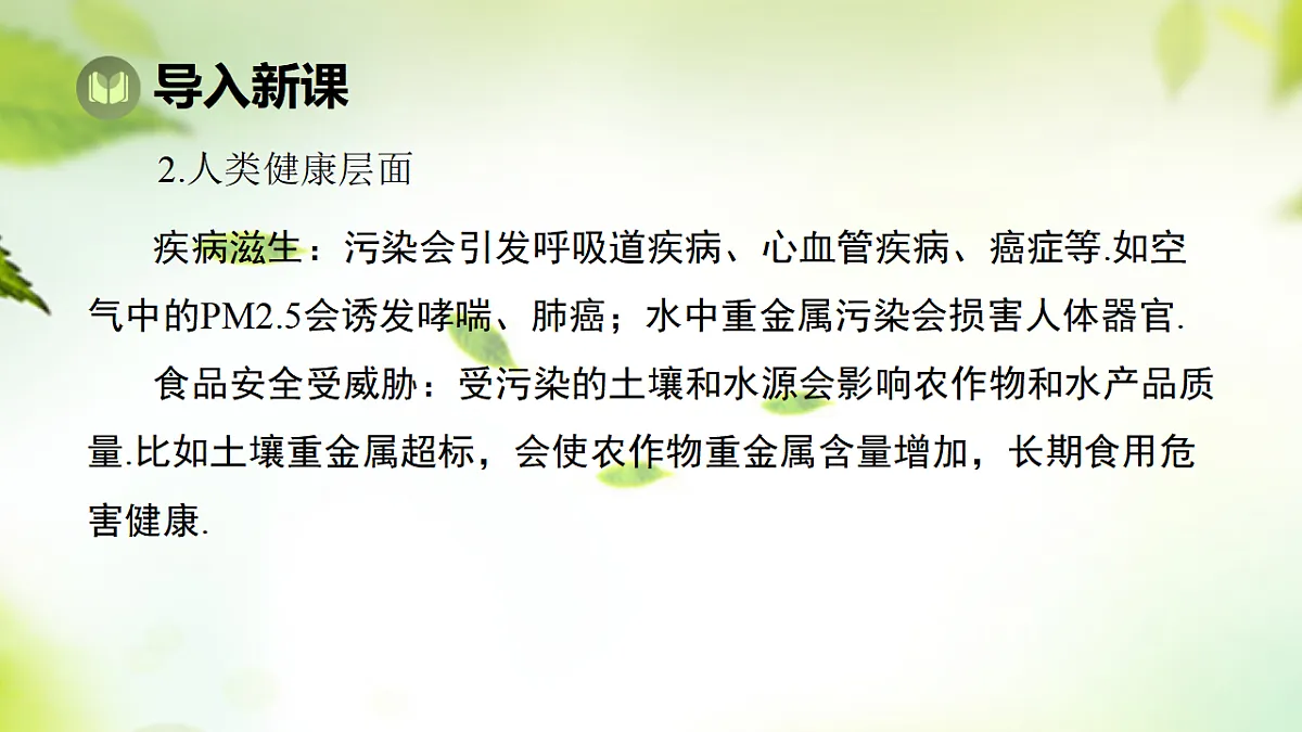17667595第5页