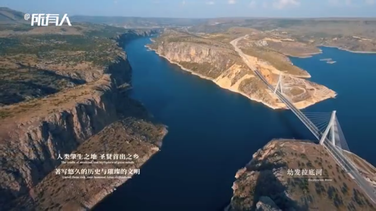 17668289第3页