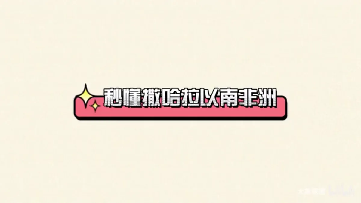 17668358第3页
