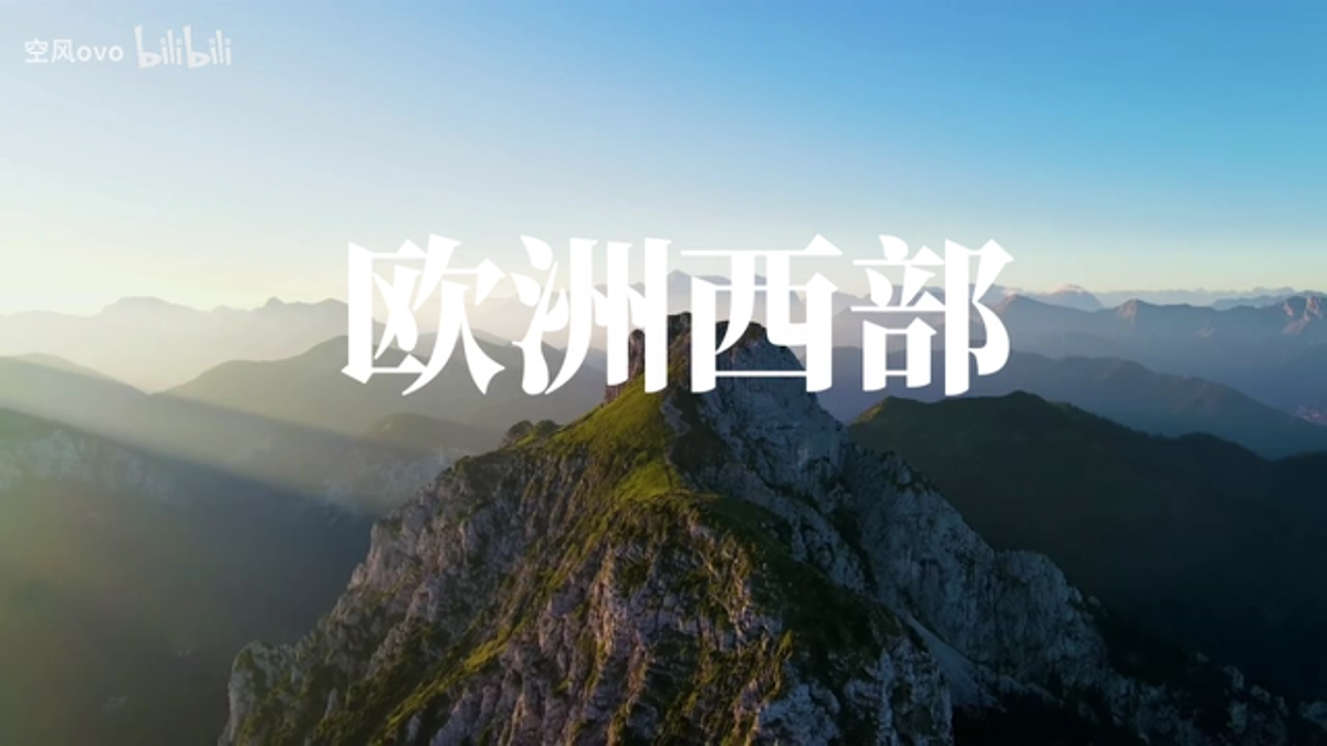 17668359第3页