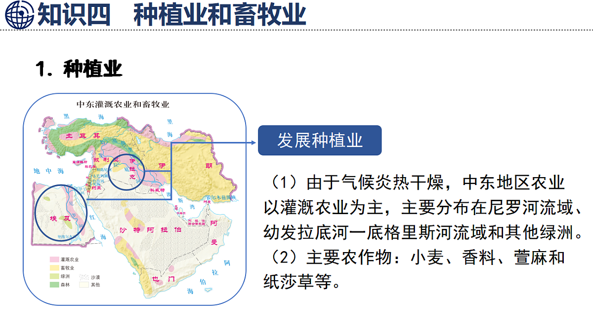 17668362第8页