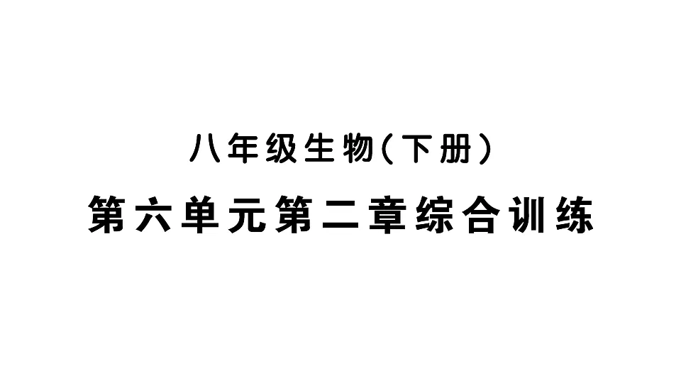 17668441第1页
