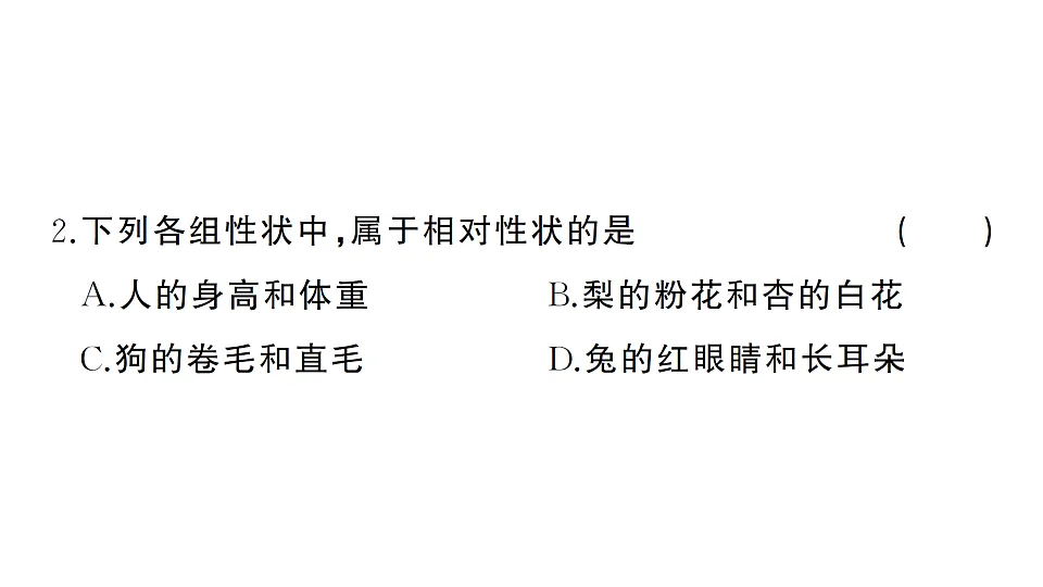 17668441第3页