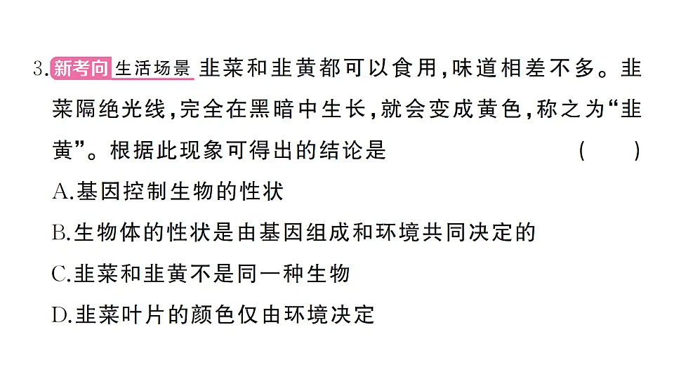 17668441第4页
