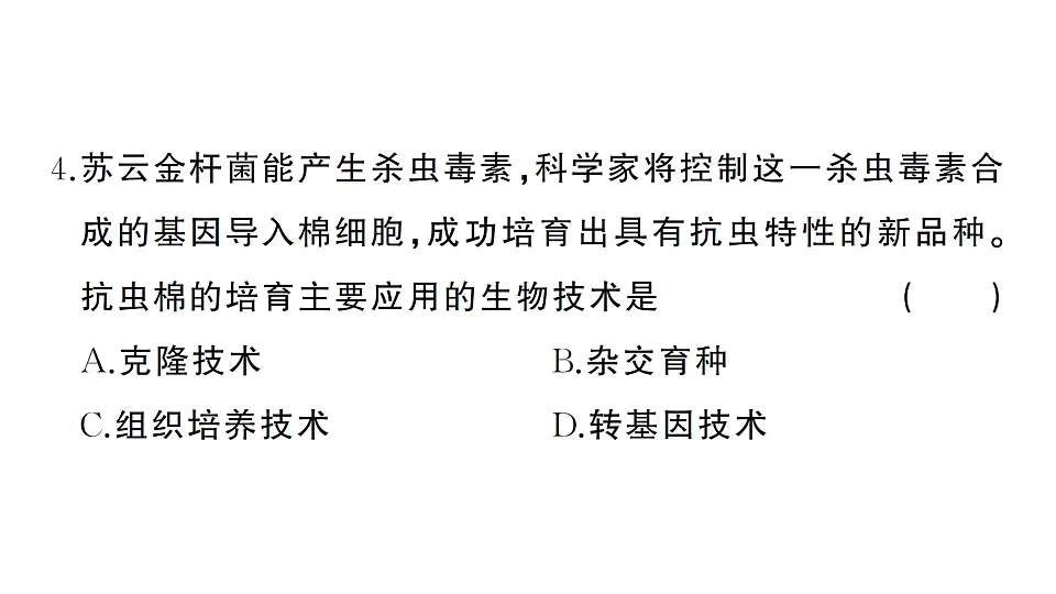 17668441第5页