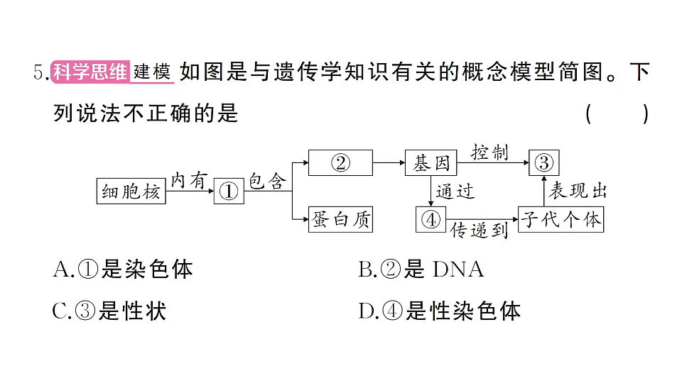17668441第6页