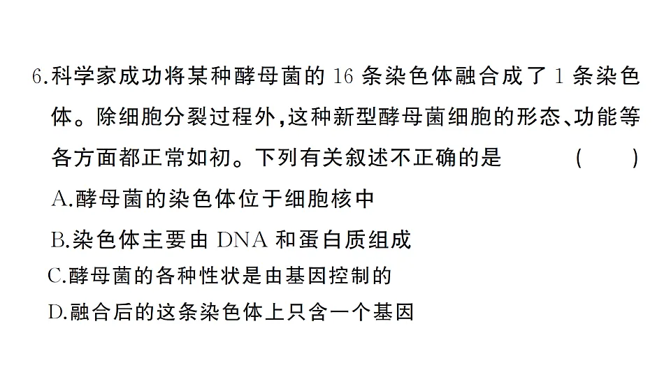 17668441第7页