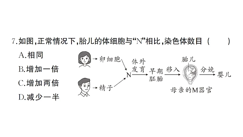 17668441第8页