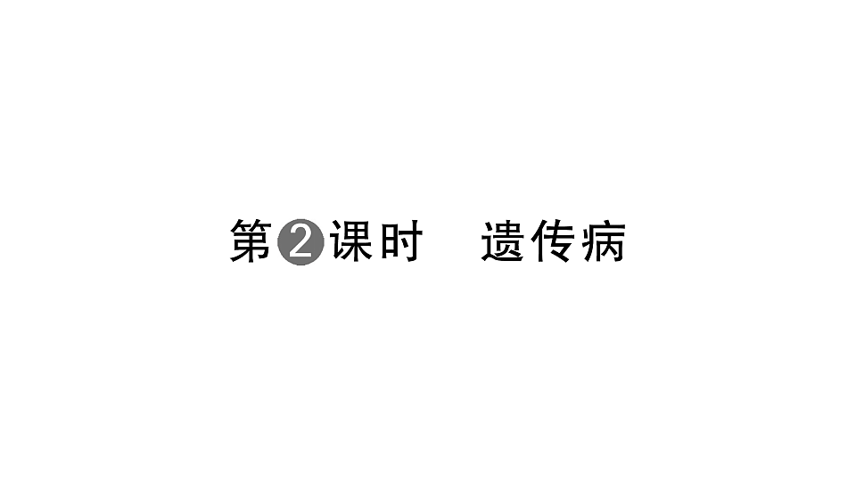 17668444第1页