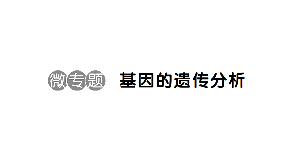 17668444第5页