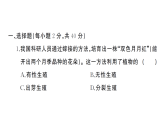 初中生物新人教版八年级下册第六单元第一章综合训练  作业课件（点击显示答案）（2026春）
