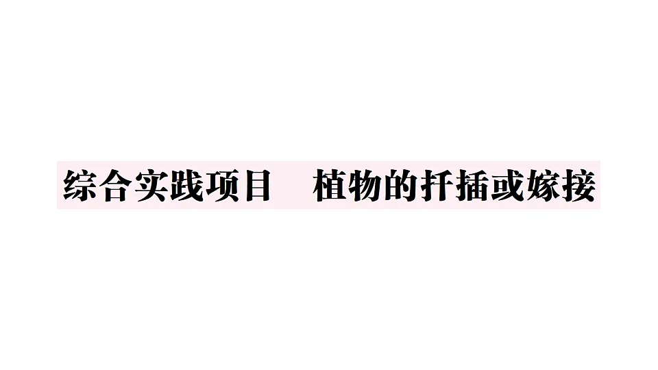 17668448第1页