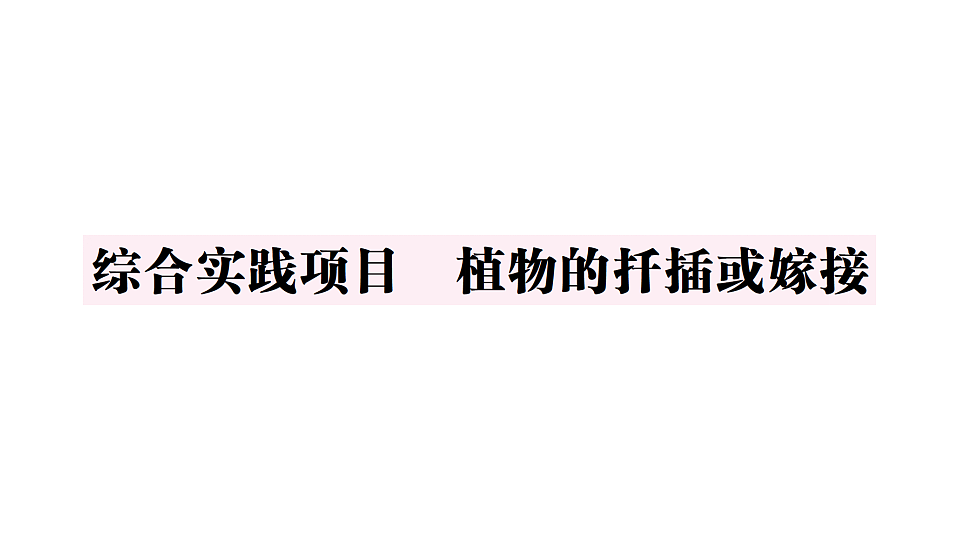 17668448第1页