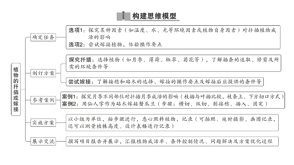 17668448第2页