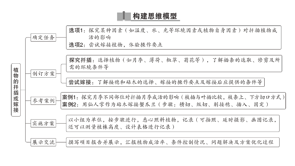 17668448第2页