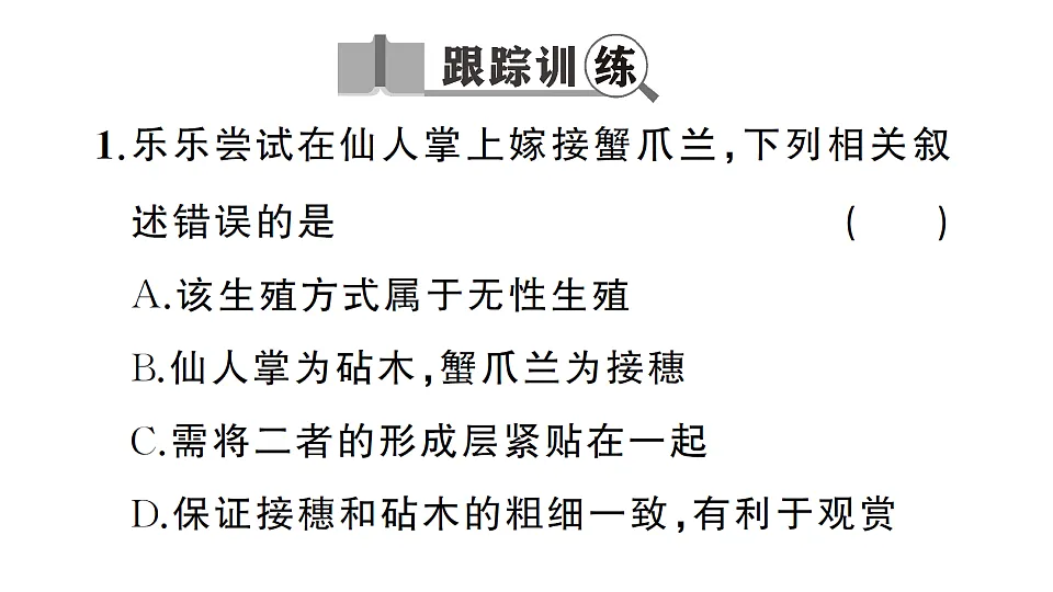 17668448第3页