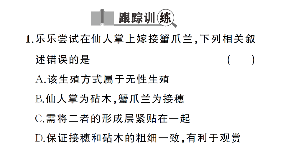 17668448第3页