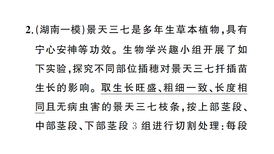 17668448第4页
