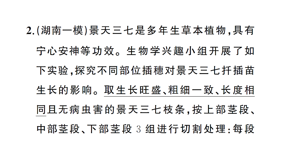 17668448第4页