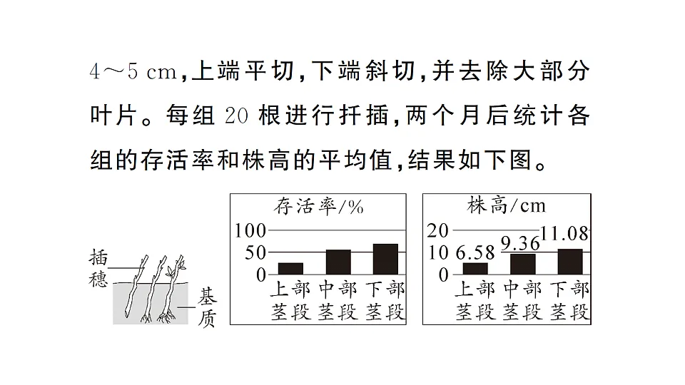 17668448第5页