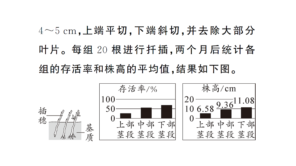 17668448第5页