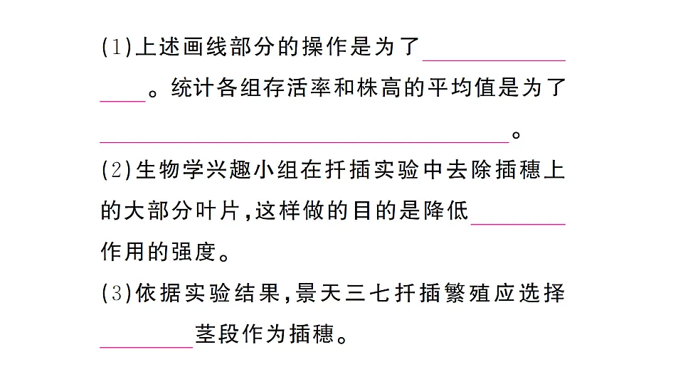 17668448第6页