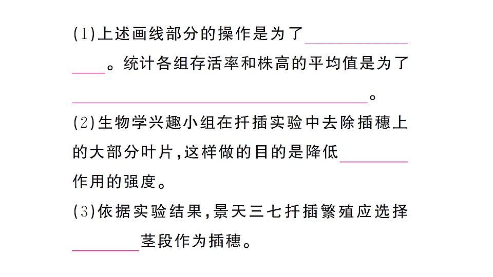 17668448第6页