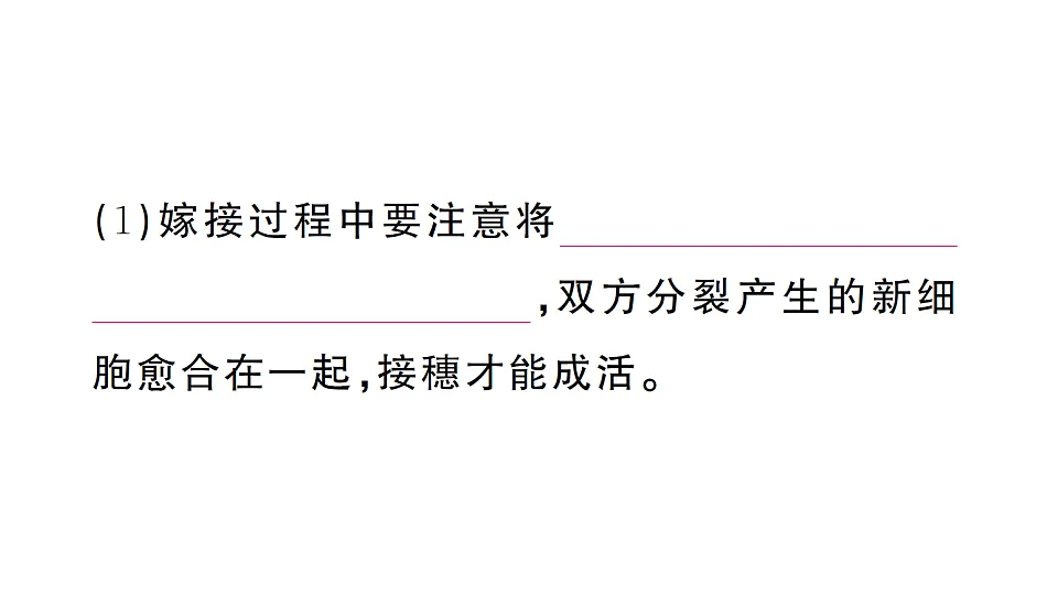 17668448第8页