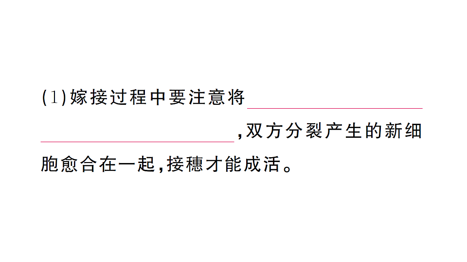 17668448第8页