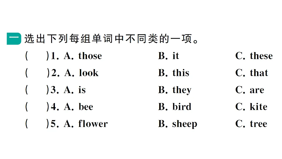 17668565第2页