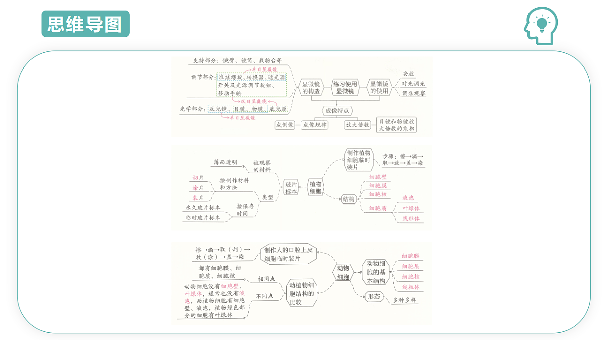 17668573第3页