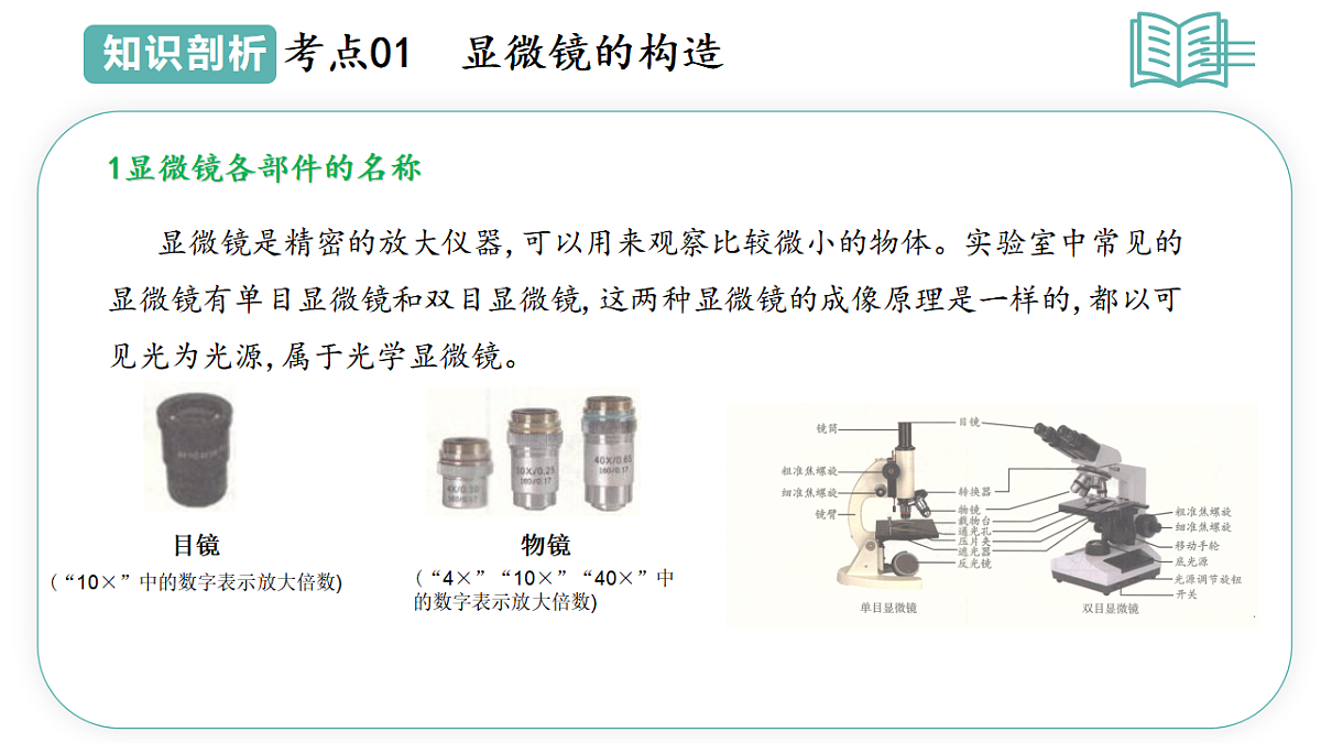 17668573第5页