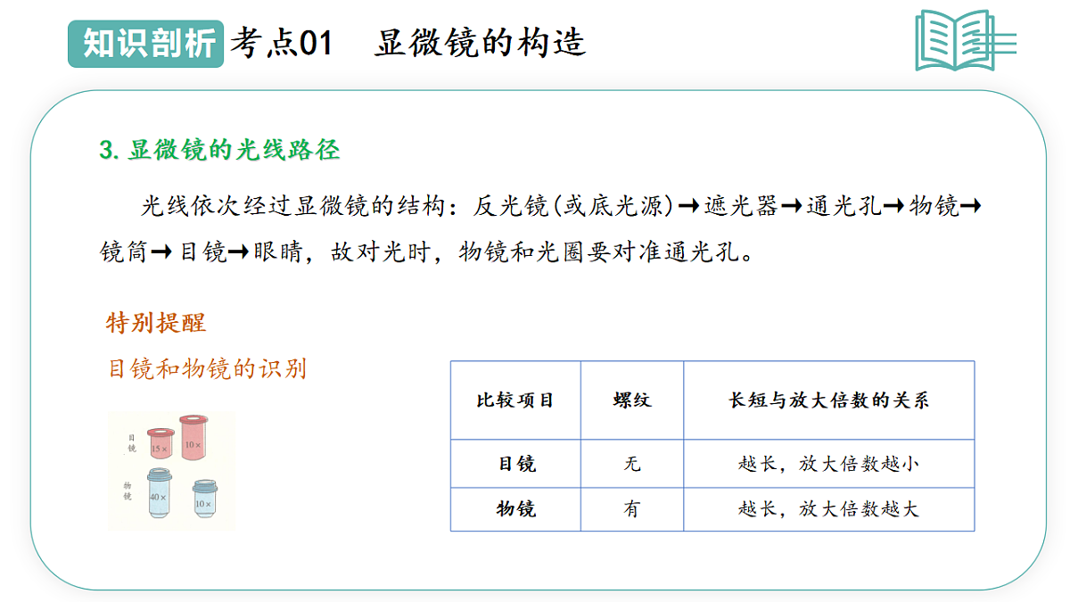 17668573第7页