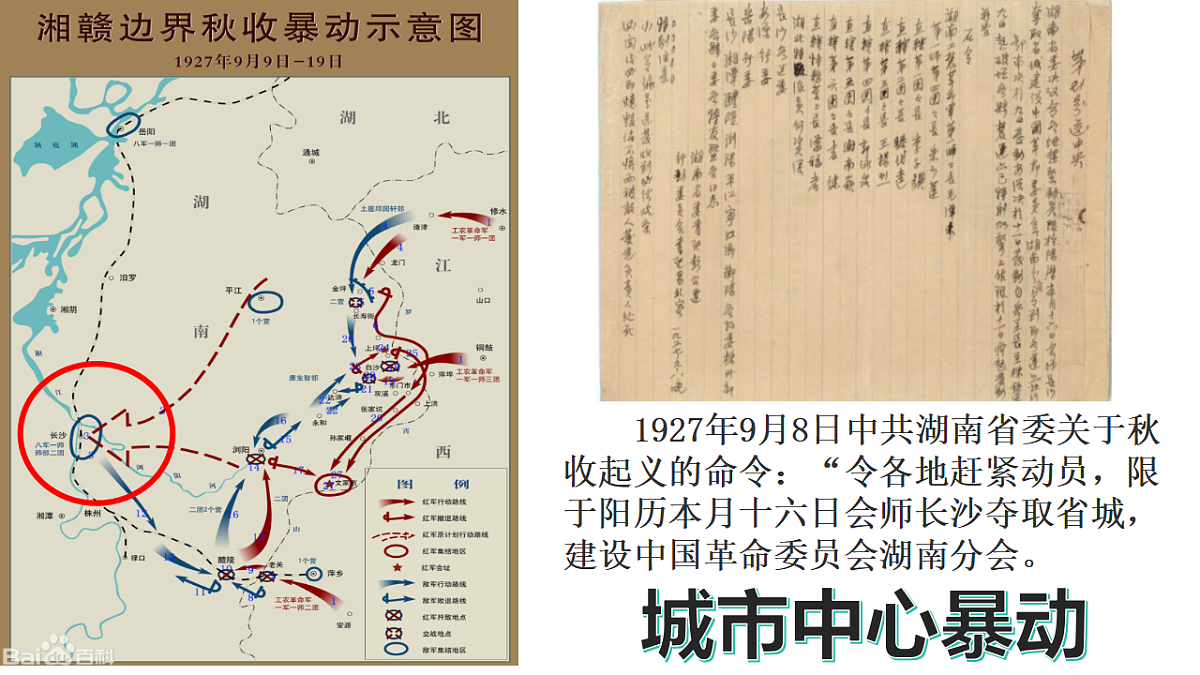 17668655第8页