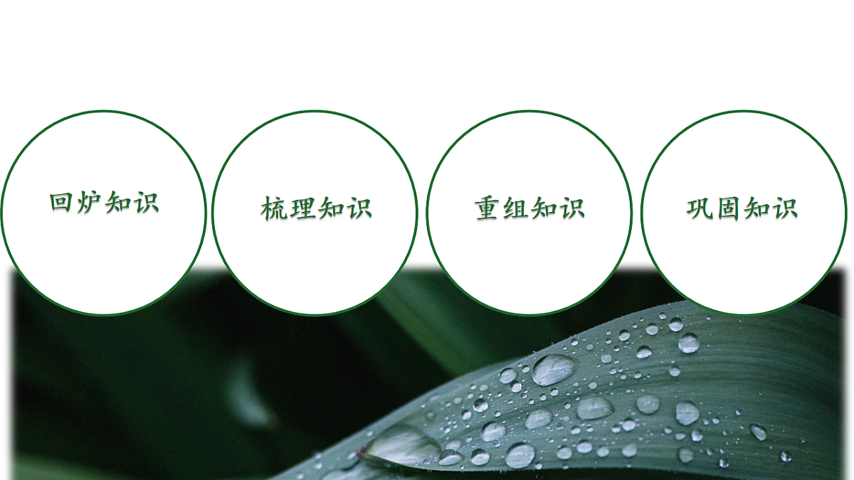 17668663第2页