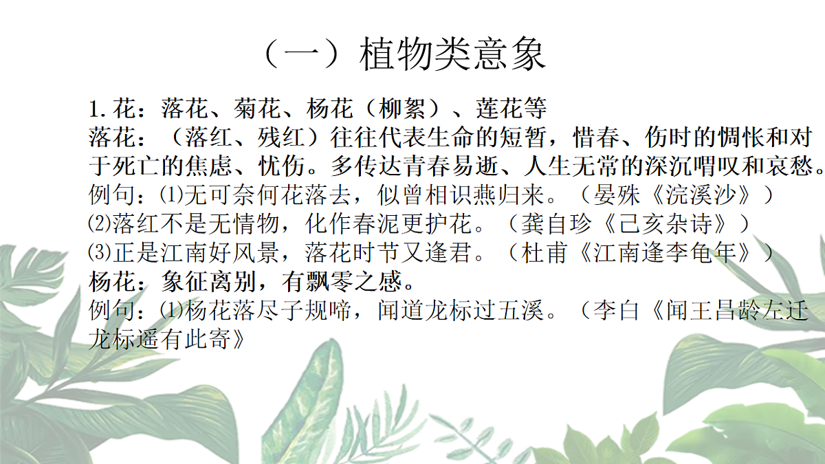 17668663第6页