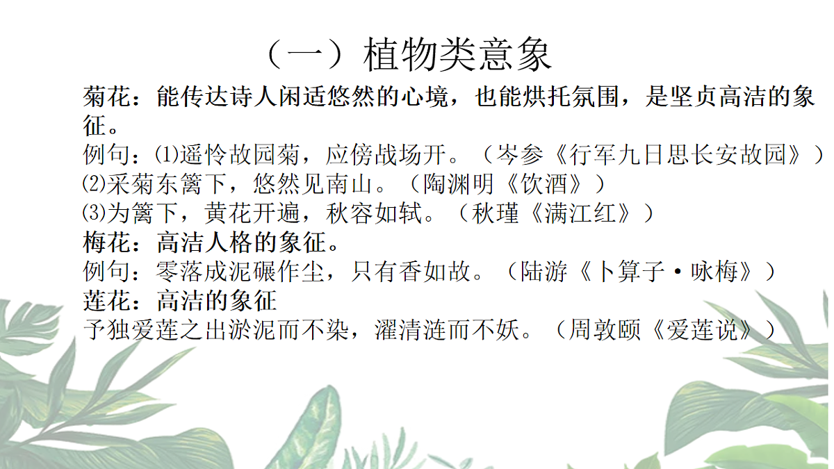 17668663第7页