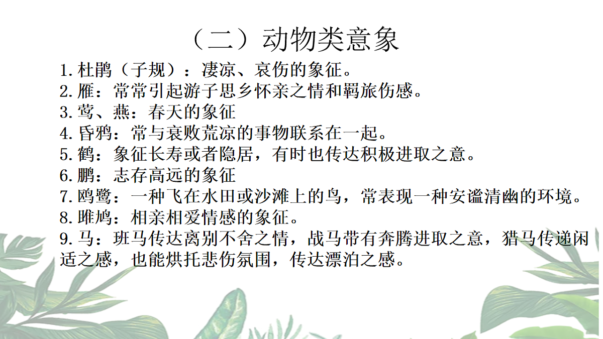 17668663第8页