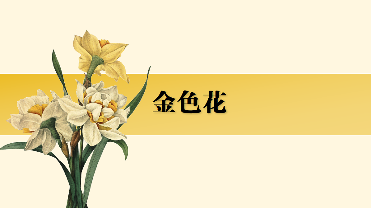17668705第1页