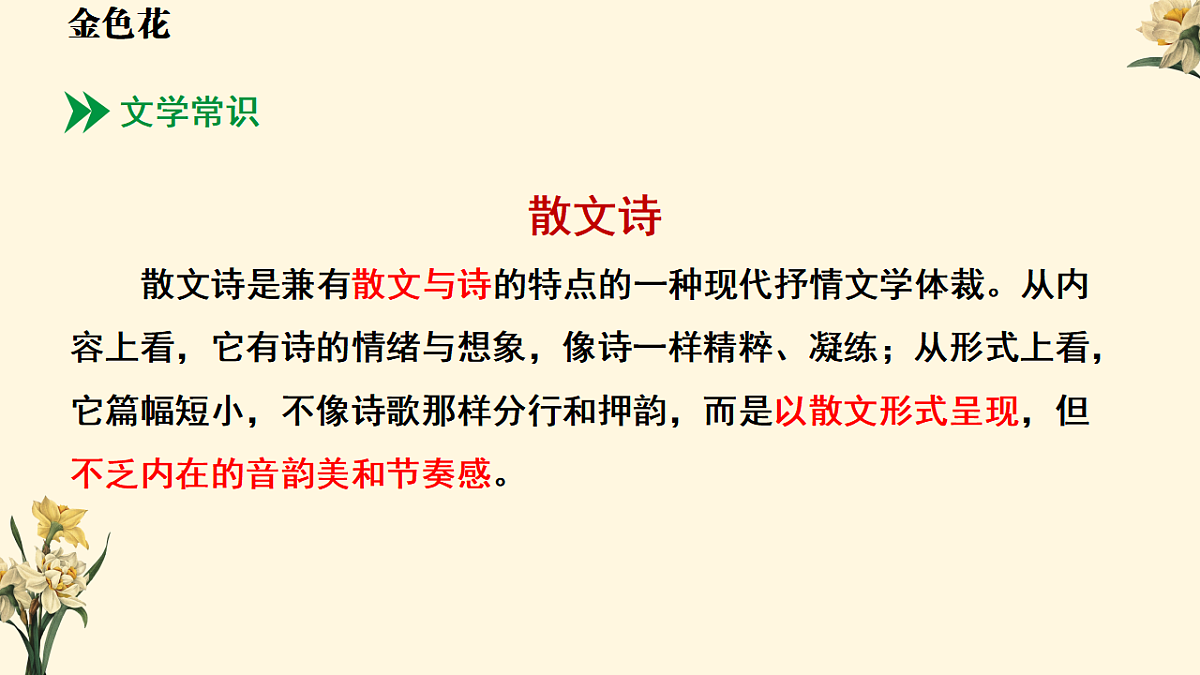 17668705第8页