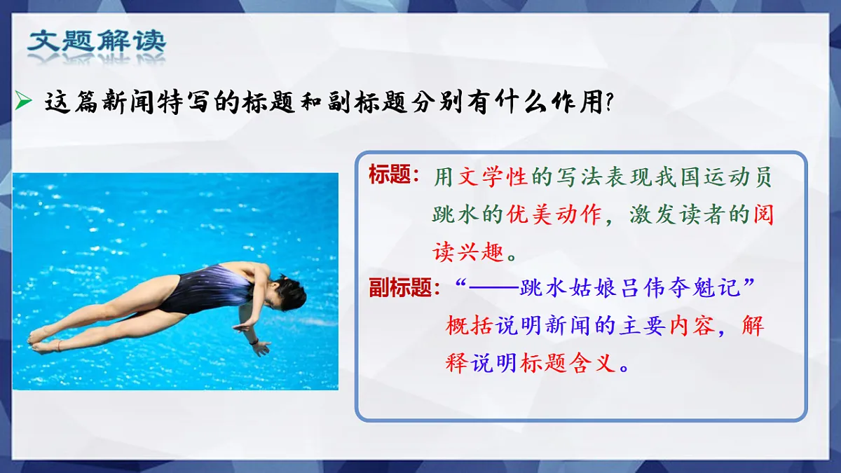 17668717第3页