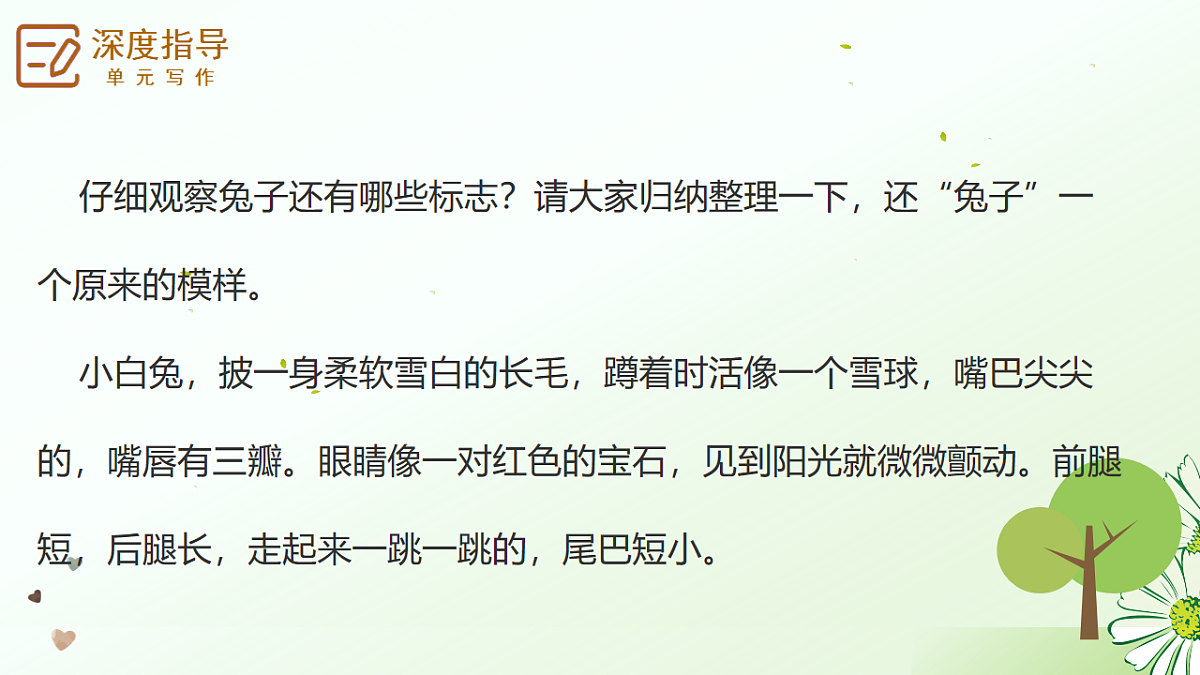 17668728第5页